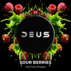 Deus Hookah Tobacco 200g - Hookah Junkie