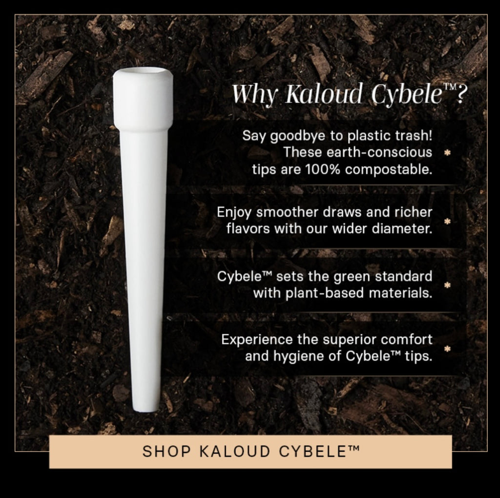 Kaloud Cybele 100% Biodegradable Eco Friendly Disposable - Hookah Junkie
