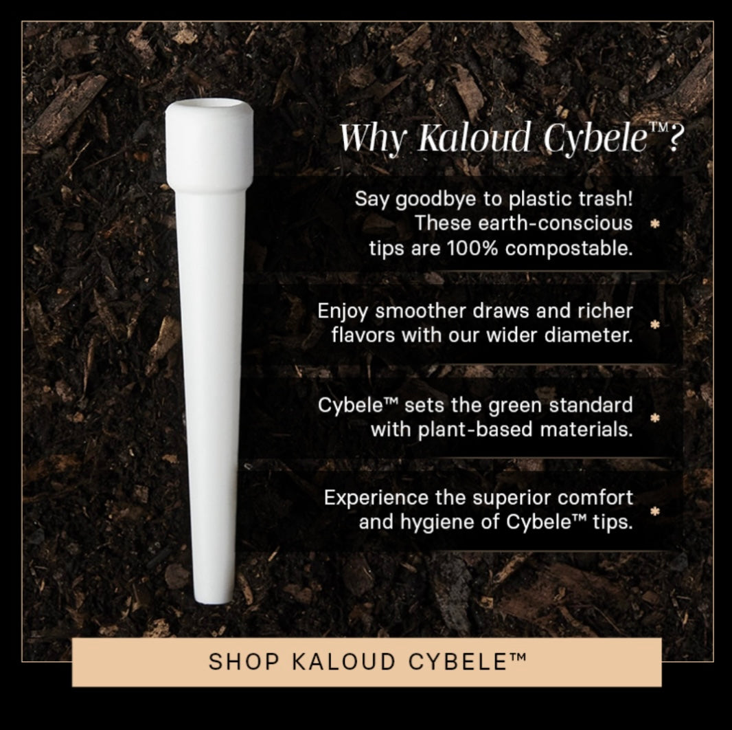 Kaloud Cybele 100% Biodegradable Eco Friendly Disposable - Hookah Junkie