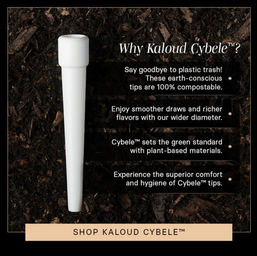 Kaloud Cybele 100% Biodegradable Eco Friendly Disposable accessory
