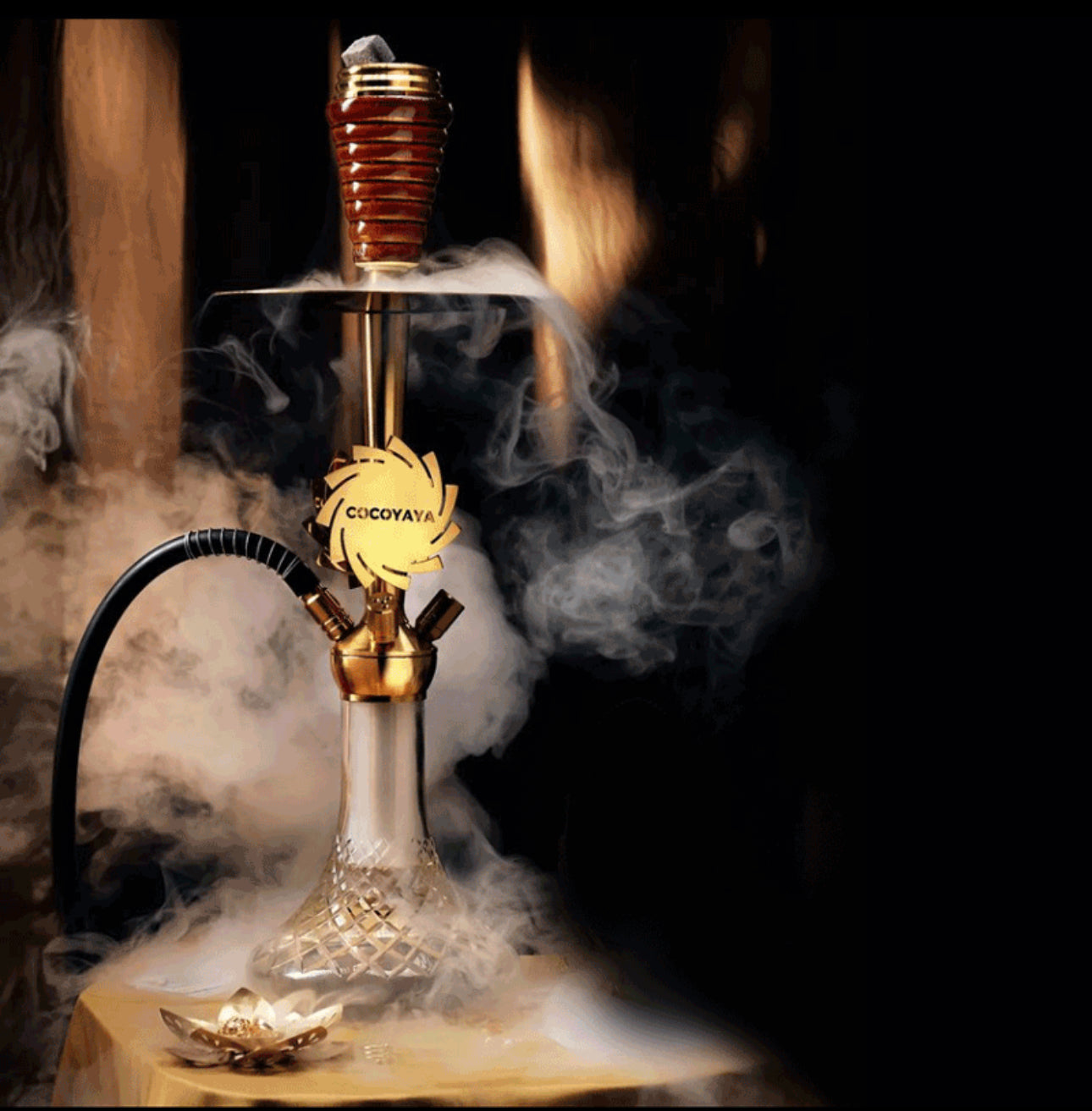 MELROSE BRAVO - Hookah Junkie
