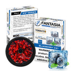 Fantasia Ice Series 50G - Hookah Junkie