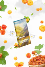 Sarma Cloudberry Compote hookah shisha tobacco 100g by Sarma Classic Line