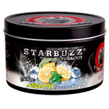 Starbuzz Shisha Tobacco BOLD 100g - Hookah Junkie