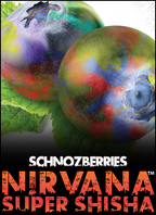 NIRVANA SUPER SHISHA 100G - Hookah Junkie