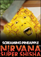 NIRVANA SUPER SHISHA 100G - Hookah Junkie