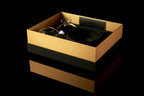 Kaloud Krysalis Eltheria Black - Hookah Junkie
