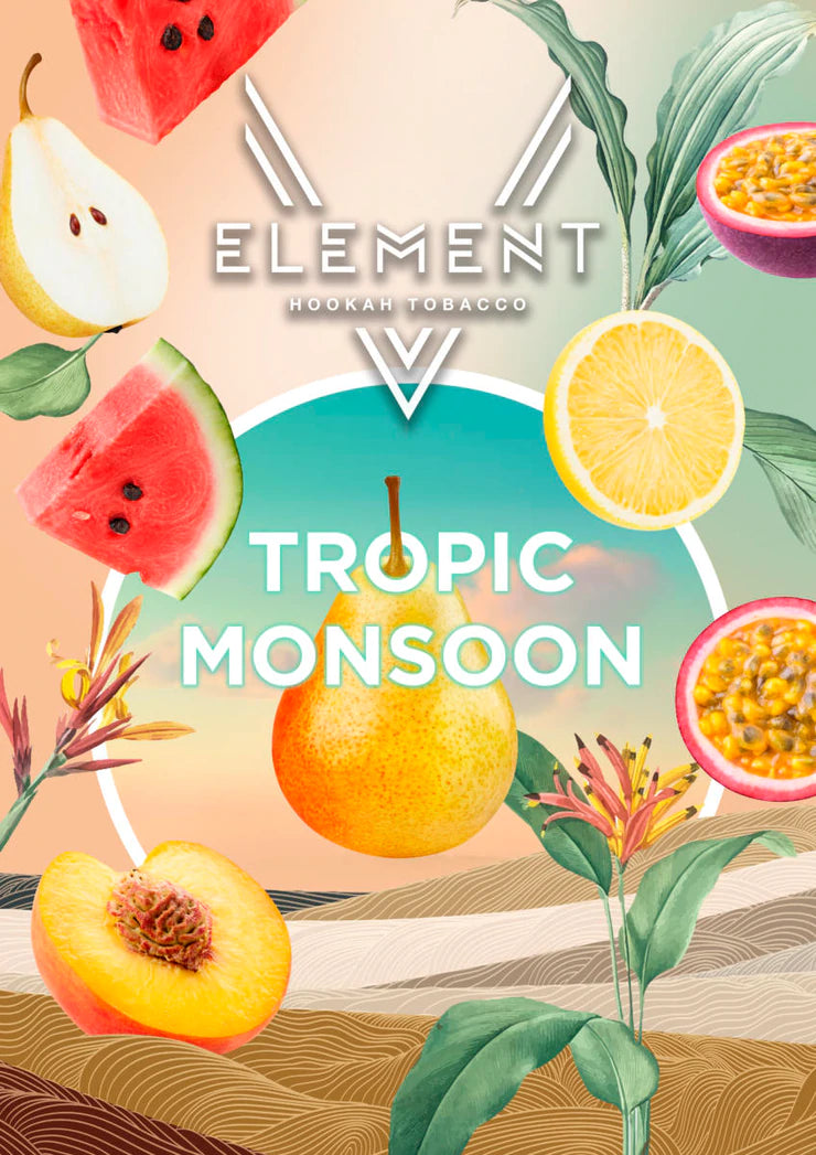ELEMENT V-LINE 200G - Hookah Junkie
