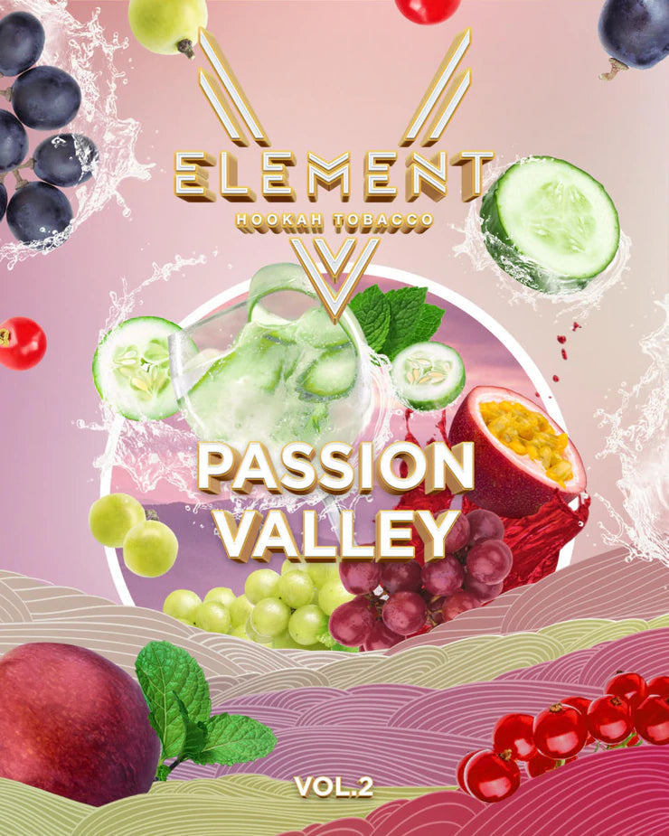 ELEMENT V-LINE 200G - Hookah Junkie