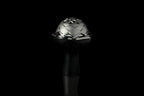 Kaloud Lotus® II Argis - Hookah Junkie