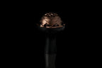 Kaloud Lotus® II Cyris - Hookah Junkie