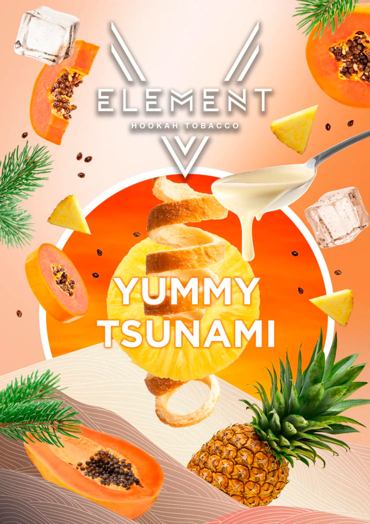 ELEMENT V-LINE 200G - Hookah Junkie