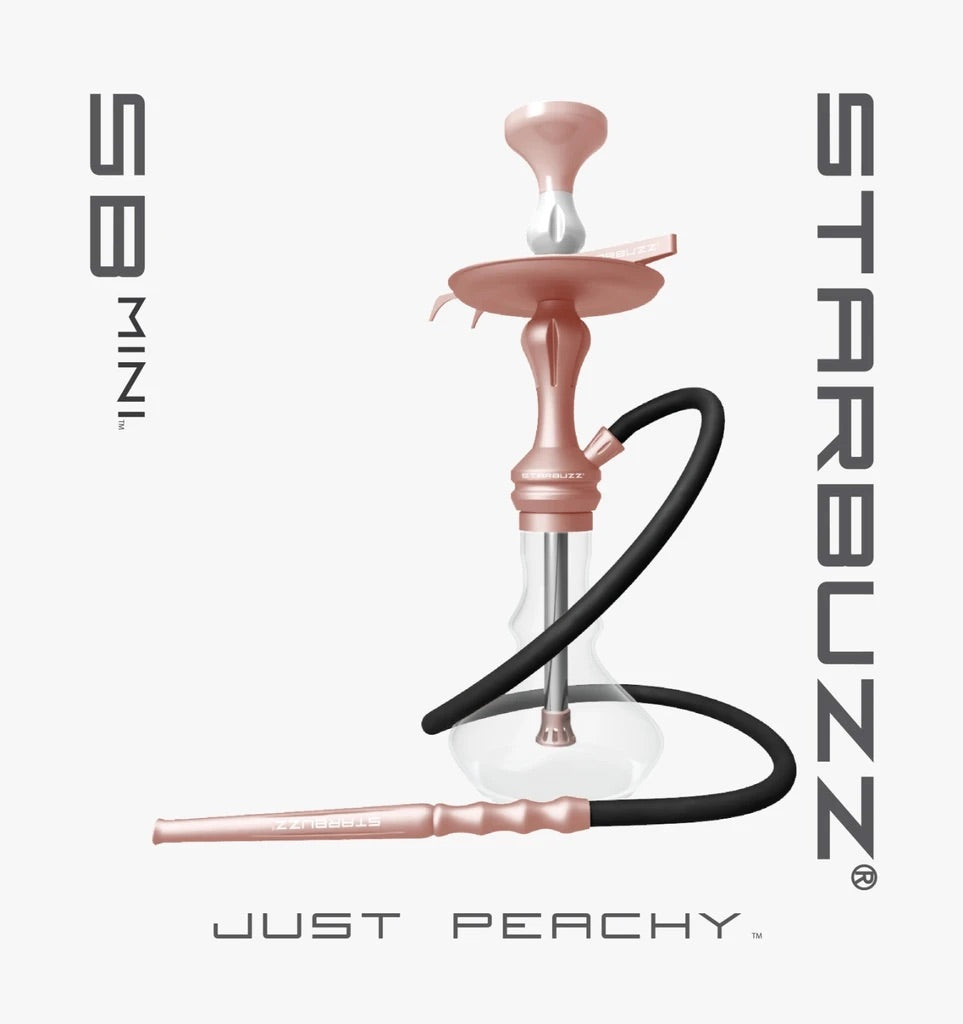 Starbuzz SB Mini Hookah - Hookah Junkie